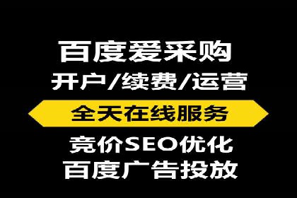 成功SEM竞价托管案例分析报告